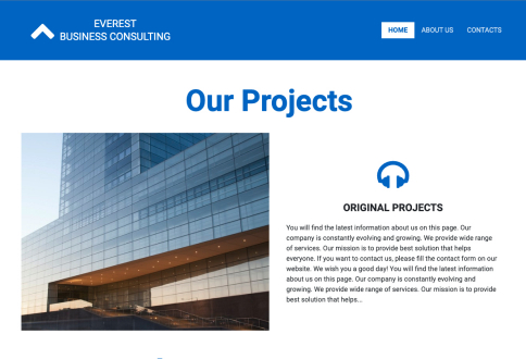Everest Business Consulting example website design